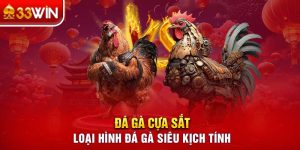 Đá gà cựa sắt