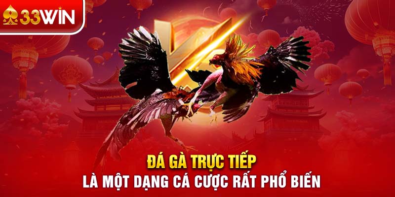 Đá gà trực tiếp là một dạng cá cược rất phổ biến